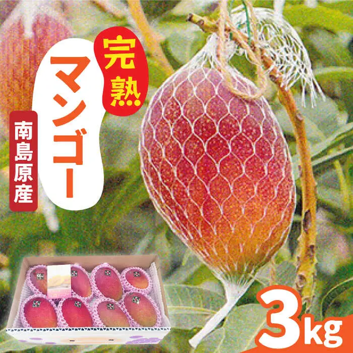 【2027年7月-発送】南島原産 完熟マンゴー 3kg / マンゴー まんごー フルーツ 果物 完熟 期間限定 / 南島原市 / 松川農園 [SAX003]