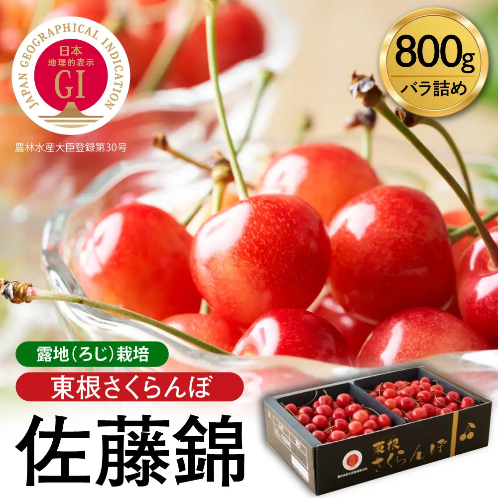 2027年産 GI 東根 さくらんぼ 佐藤錦 800g JA さくらんぼ | 山形県東根