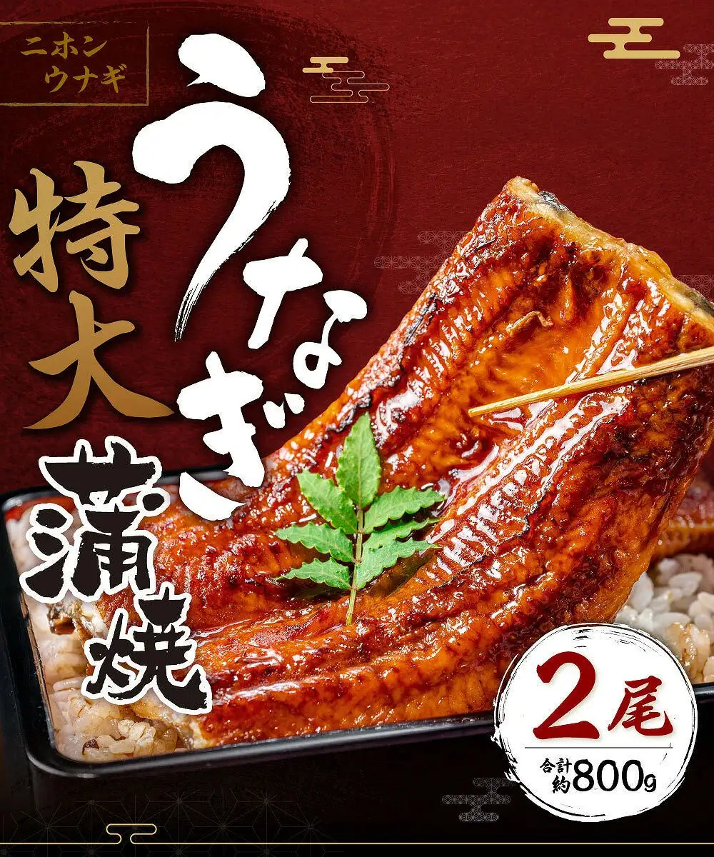 特大うなぎ蒲焼約400g×2尾_特大 うなぎ 蒲焼 無頭 約 400g 2尾 秘伝のタレ グルメ 食品 加工品 魚 魚介類 おかず 惣菜 ご飯のお供 酒の肴 うな丼 ひつまぶし お茶漬け 鰻巻き 冷凍 パック 太輔商事 福岡県 久留米市 お取り寄せ お取り寄せグルメ 送料無料 〔Cu027〕