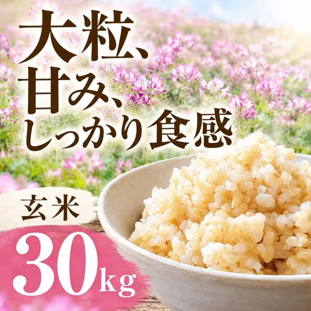 【令和7年度産】ハツシモ 30kg 玄米｜玄米