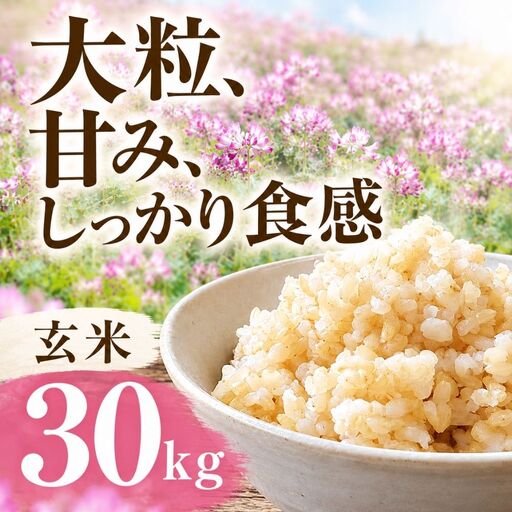 令和7年度産】ハツシモ 30kg 玄米｜玄米｜岐阜県大垣市｜ポイント制
