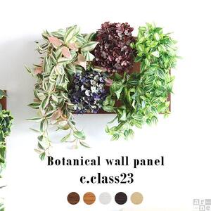 Botanical c.class 23　ホワイトウッド
