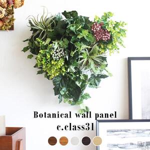 Botanical c.class 31　ナチュラル