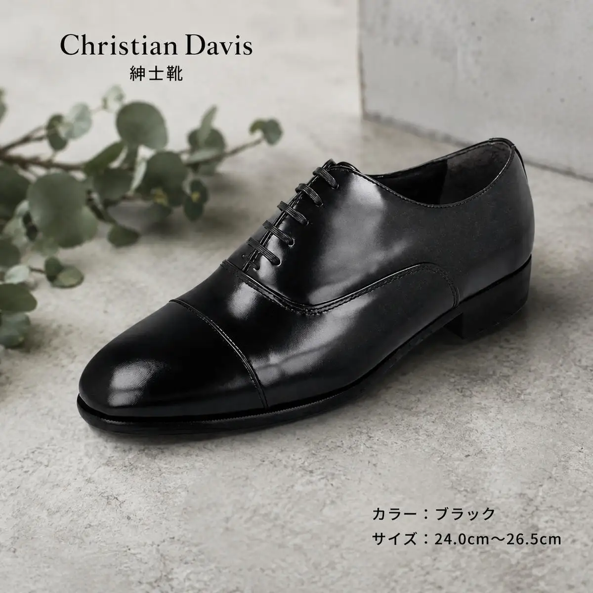 ビジネスシューズ 本革 CD-401 ストレートチップ ビジネスシューズ【ブラック】 24.5cm