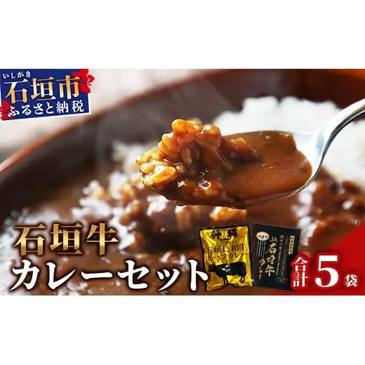 JA石垣牛カレー200g×2箱＆石垣島和牛ビーフカレー 160g×3袋【合計880g】KB-5