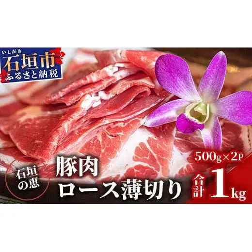 石垣の恵 アグー豚 豚肉ロース薄切り 500g×2パック【合計1kg】KB-33