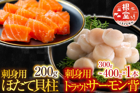 根室海鮮市場＜直送＞刺身用ほたて貝柱200g・刺身用トラウトサーモン(背)300～400g×1本 A-28208