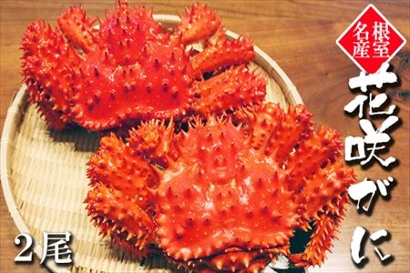 【北海道根室産】花咲がに750～850g×2尾 F-32005
