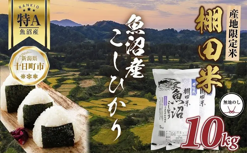 【無地熨斗】 棚田米 魚沼産 コシヒカリ 10kg 新潟県 十日町市 松代地区 限定 棚田 こしひかり （お米屋秘伝！美味しいご飯の炊き方ガイド付き） 精米 ブランド米 銘柄米 