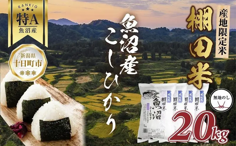 【無地熨斗】 棚田米 魚沼産 コシヒカリ 20kg 新潟県 十日町市 松代地区 限定 棚田 こしひかり （お米屋秘伝！美味しいご飯の炊き方ガイド付き） 精米 ブランド米 銘柄米 