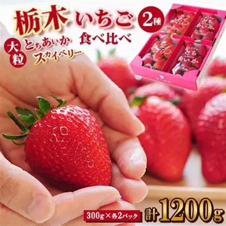 豪華!栃木イチゴ2種(スカイベリー・とちあいか)大粒 食べ比べセット (300g×4パック)_いちご 苺 フルーツ 果物 くだもの スカイベリー とちあいか 栃木 2種 セット 人気 おすすめ 送料無料 ギフト 贈答 食べ比べ_【配送不可地域：離島・沖縄県】【1366949】