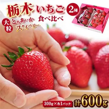 豪華!栃木イチゴ2種(スカイベリー・とちあいか)大粒 食べ比べセット(300g×2パック)_いちご 苺 果物 フルーツ くだもの スカイベリー とちあいか 大粒 食べ比べ セット 人気 おすすめ 送料無料 贈答 ギフト_【配送不可地域：離島・沖縄県】【1366974】