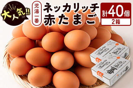 ＜児湯養鶏自慢の卵 ＞ネッカリッチ赤たまご「児湯一番」計40個（20個入×2箱）【B19】