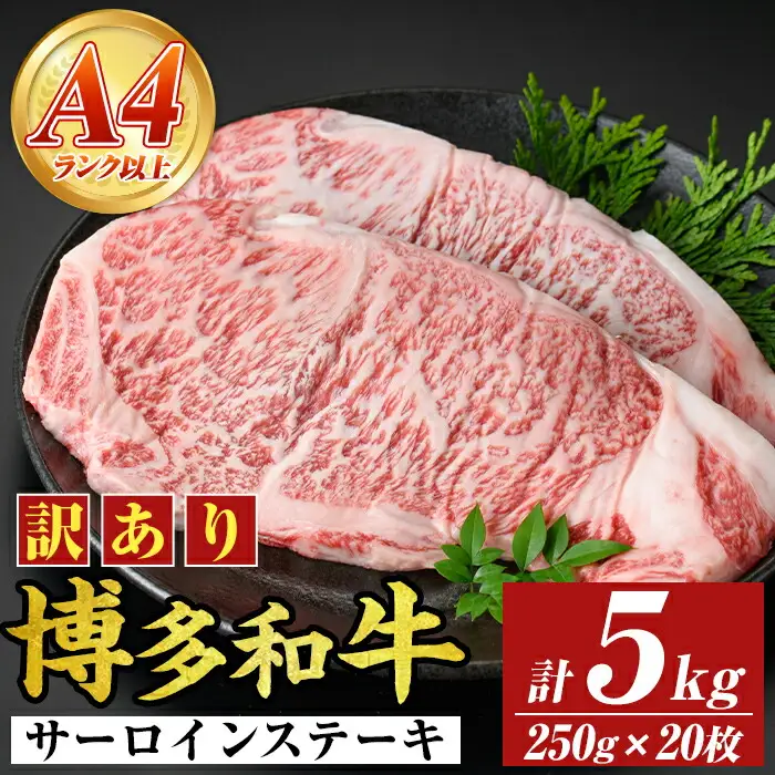 ＜訳アリ＞【A4～A5】博多和牛サーロインステーキ(計5kg・250g×20枚) 国産 九州産 福岡県産 牛肉 和牛 黒毛和牛 ステーキ お肉【MEAT PLUS】as08-020