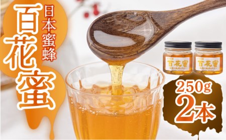 日本蜜蜂 百花蜜 250g×2本[ECD002]蜂蜜 国産 はちみつ ハチミツ