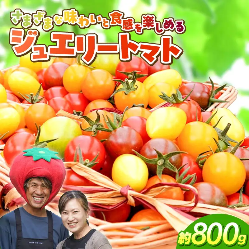 【2027年発送】【お試し】まるでトマトの宝石箱！フルーツジュエリートマト 約800g 長田農園 産地直送 トマト とまと 野菜 やさい フルーツ サラダ 濃厚 甘い ご褒美 プレゼント 美容 健康 リピート多数 人気 高評価 先行受付 数量限定 碧南市 H004-178
