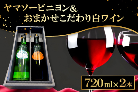 B-854 森の記憶を呼び覚ます「ヤマソービニヨン」 と 「こだわり白ワイン（おまかせ）」