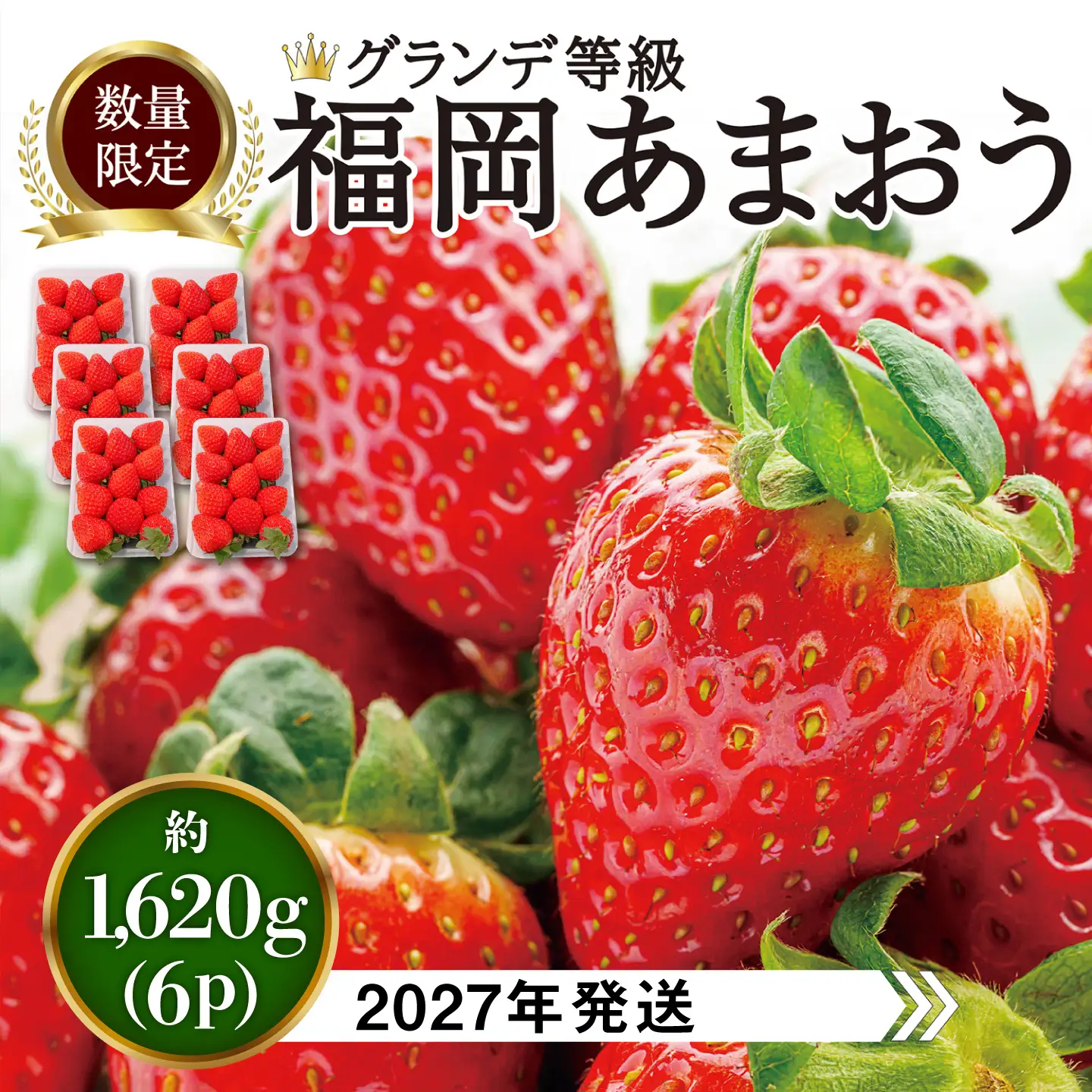 【先行受付】あまおう いちご 1,620g ( 約 270g × 6パック ) 【2027年3月初旬以降順次発送】 糸島市 / 株式会社HSP-テクノ [AZL002] グランデ 等級 福岡県産