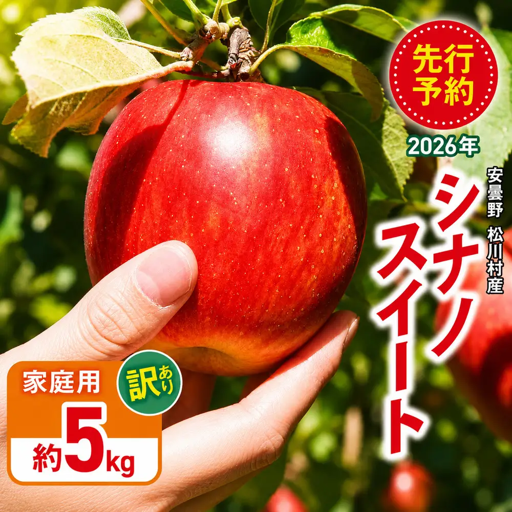 【2026年先行予約】訳あり 家庭用 シナノスイート 約5kg  ｜ 山とりんご