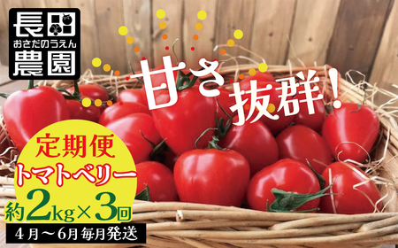 【4月～6月の定期便】たっぷり約2kg×3回！ 人気No.1トマトベリーの定期便 野菜ソムリエサミット 金賞 受賞 長田農園 産地直送 トマト とまと 野菜 やさい フルーツ サラダ 濃厚 甘い ご褒美 プレゼント 美容 健康 リピート多数 人気 高評価 数量限定 碧南市 H004-186