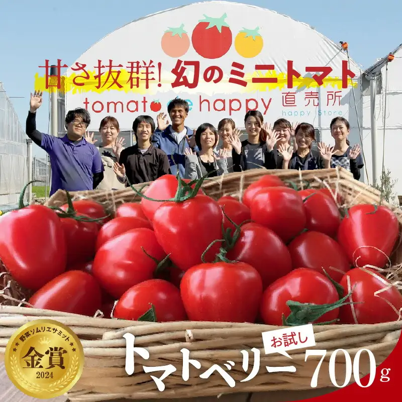 【先行受付】【お試し】甘さ抜群!トマト嫌いでも食べられるトマトベリー 700g（11月～2月発送） H004-183_Nov H004-183_Nov