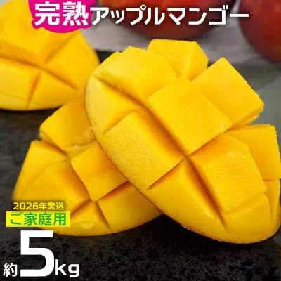 マンゴー【2026年発送】ご家庭用でも極上に美味しい完熟アップルマンゴー約5kg 農園直送！ 家庭用 