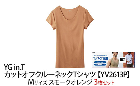 【YV2613P】グンゼ 3枚セット YG in.T Mサイズ GUNZE グンゼ