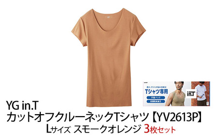グンゼ YG in.T カットオフクルーネックTシャツ【YV2613P】Lサイズ スモークオレンジ3枚セット GUNZE myz01 myz11 myz25