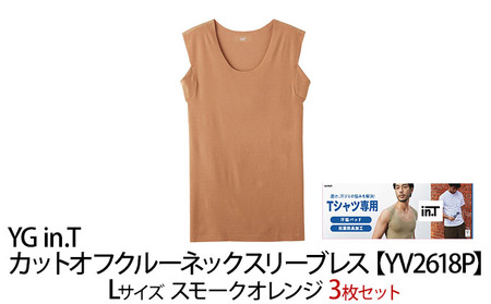 【YV2618P】グンゼ 3枚セット YG in.T Lサイズ GUNZE グンゼ