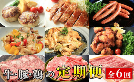 【佐賀牛・ありたぶた・ありたどり定期便】偶数月に佐賀からお肉がいろいろ届く！全6回 牛肉 黒毛和牛 極上の佐賀牛 鶏肉 豚肉 厳選 お肉 おにく ギフト プレゼント 贈り物 zb007