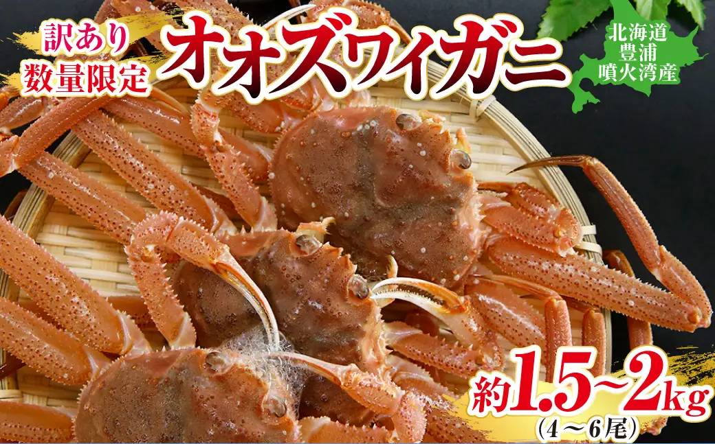 【令和8年先行受付】【訳あり】 北海道 豊浦 噴火湾 オオズワイガニ 約1.5～2kg（4～6尾） 数量限定