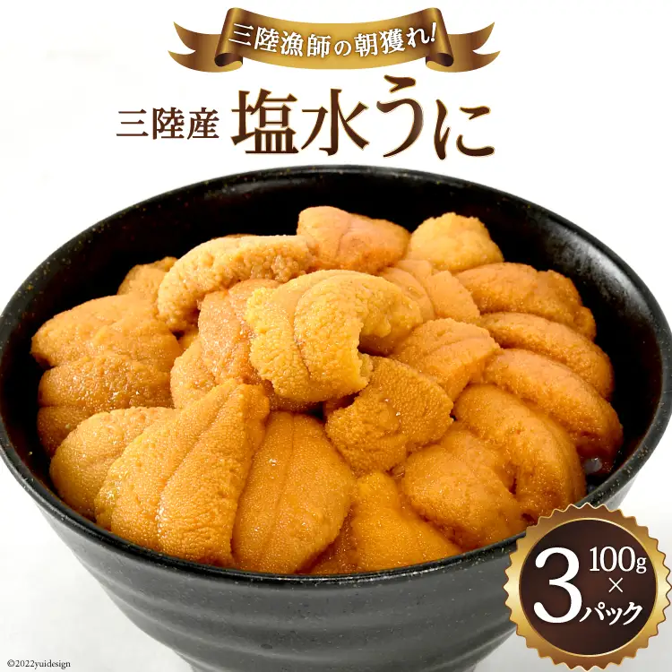 【期間限定発送】三陸産塩水うに 100g×3パック  うに 雲丹