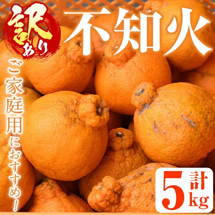 ＜先行予約受付中！2027年2月以降順次発送予定＞＜訳あり・不揃いの為＞数量限定！無加温ハウス不知火(5kg) 国産 鹿児島県 阿久根市 果実果物 フルーツ 柑橘 みかん ミカン 期間限定 数量限定【桐野柑橘株式会社】akn070-12