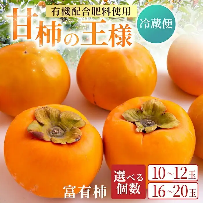 ＜非公開＞【先行予約】有機配合肥料使用 冷蔵富有柿 16玉から20玉 2025年12月中旬から2026年1月下旬 出荷予定【春光園】 柿 かき 甘柿 甘い 果物 フルーツ