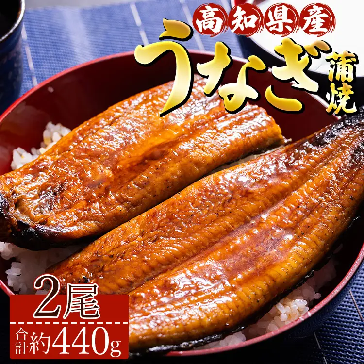 鰻 蒲焼き 2尾(合計約440g) 鰻 ss-0043