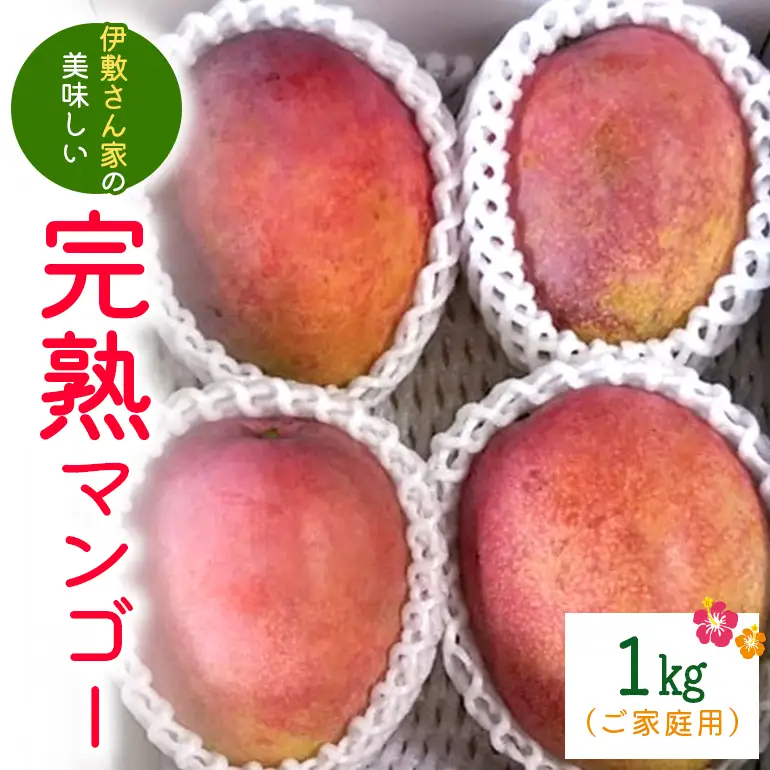 【 先行予約 2026年 発送 】 伊敷さん家の美味しい 完熟マンゴー 1kg ( ご家庭用 ) 沖縄県産 マンゴー アップルマンゴー アーウィンマンゴー 1キロ 国産 果物 くだもの フルーツ 完熟 夏 旬 沖縄 お取り寄せ 産地直送 農家直送 甘い 濃厚 糸満市 41-3