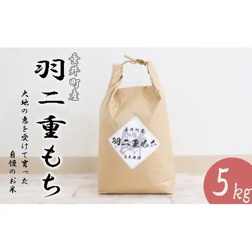 【令和7年産】 岐阜県産 羽二重もち 5kg  | 垂井町産 もちごめ もち米 餅米 精米 高品質 安心 安全 リピーター多数 贈答用 贈り物 ギフト プレゼント 人気