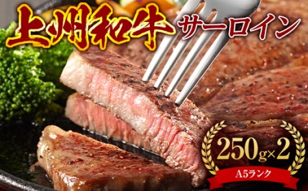 【A5ランク】上州和牛サーロイン500g ブランド和牛 高級 記念日 サシ F21K-285