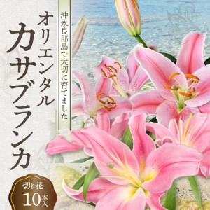 ■ 沖永良部島 で大切に育てられた オリエンタル ・ カサブランカ の 花 セット W008-012u 雑貨 日用品
