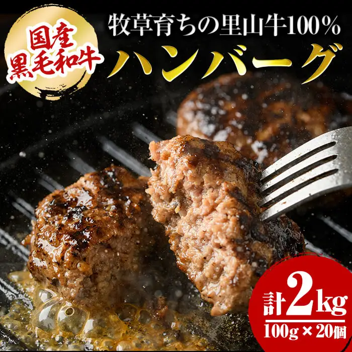 国産黒毛和牛 牧草育ちの里山牛100%使用！手作りハンバーグ 2kg (100g×20個） 黒毛和牛 和牛 肉 牛肉 国産 ハンバーグ 100% 小分け 真空パック c0-113