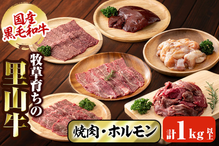 国産黒毛和牛 牧草育ちの里山牛 焼肉・ホルモンセット 計1kg以上 黒毛和牛 和牛 肉 牛肉 国産 ロース カルビ 赤身 切り落とし ホルモン 焼肉 BBQ b8-031