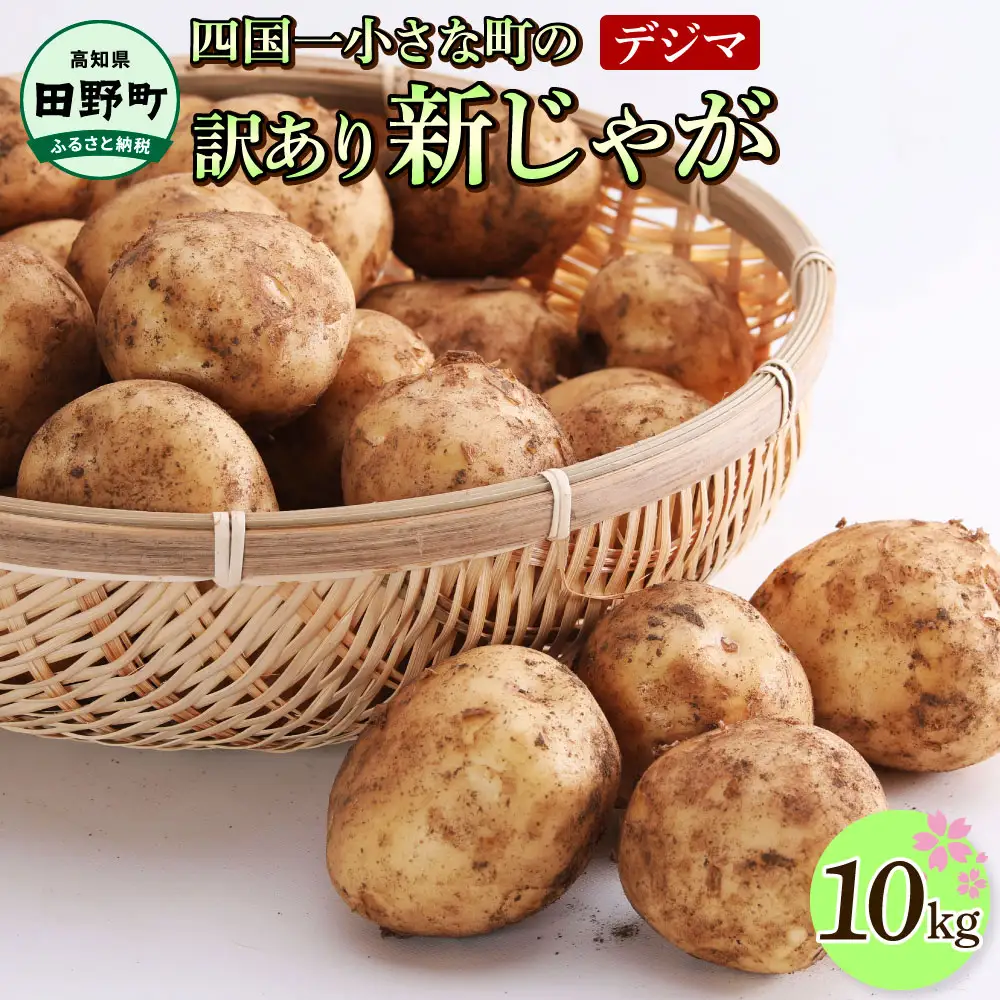 令和8年産　新じゃがいも　訳あり『デジマ』10kg