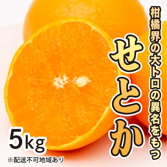 みかん 柑橘【先行受付】【2027年2月下旬以降発送】果汁たっぷり甘さに満足 柑橘の大トロせとか ＜5kg＞ 広島 三原 佐木島 鷺島みかんじま 017021