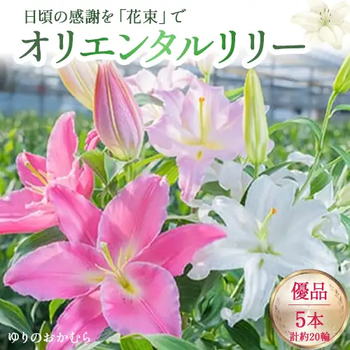 日頃の感謝を「花束」で、オリエンタルリリー【優品5本】 誕生日 植物 フラワー プレゼント 花束 ゆり リリー お花／Osy-A14
