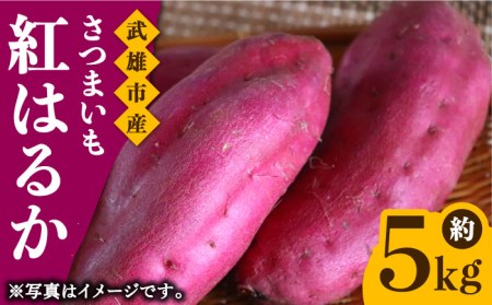 さつまいも 紅はるか 約5kg /おかわりのうえん [UDD001] サツマイモ