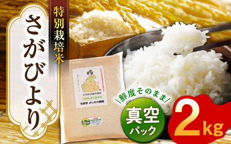 【特別栽培米！】令和7年産 新米 さがびより 2kg 武雄市橘産 [UCY002] 白米 米 お米 こめ 白米 精米 ブランド米