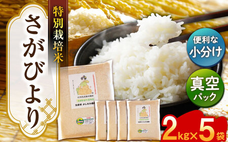 【特別栽培米！】令和7年産 新米 さがびより 10kg（2kg×5） 武雄市橘産 /よしたか農園 [UCY003] 白米 米 お米 こめ 白米 精米 ブランド米
