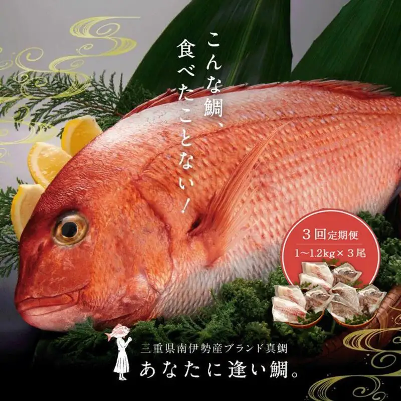 （定期便 ）（冷蔵）じゅわ～っと甘み溢れるブランド真鯛1～1.2kgを３回お届け！ 食べ比べ 皮あり スキンレス 4ヶ月に１回 ／ はさま あなたに逢い鯛。 鯛 真鯛 刺身 湯引き 南伊勢町 伊勢志摩