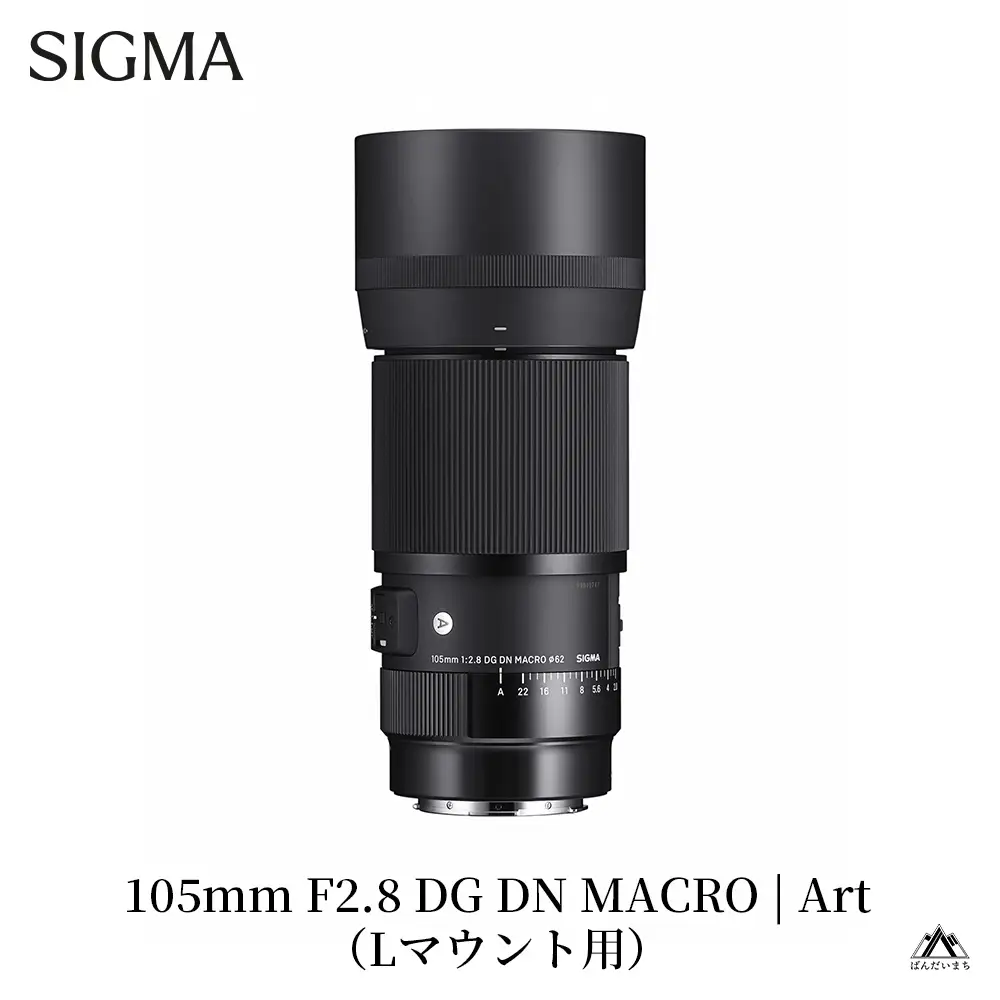 SIGMA 105mm F2.8 DG DN MACRO｜Art【Lマウント】カメラ　レンズ　家電