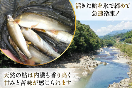 【数量限定】 宮崎県 美郷町 天然 鮎 約300g